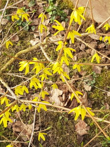 20180425_084805.jpg