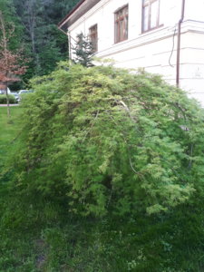 20180426_174118.jpg