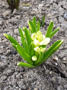20180422_141731.jpg