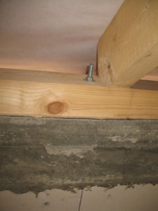 IMG_7921.JPG