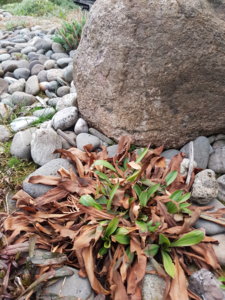 20180427_195646.jpg