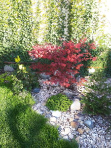 20180428_173119.jpg