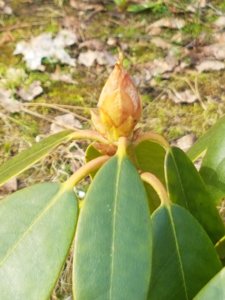 20180425_090150.jpg