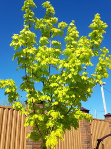 20180501_143741.jpg