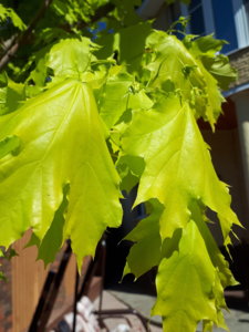 20180501_143801.jpg