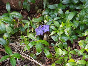 20180501_075344.jpg