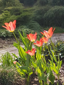 20180501_141515.jpg