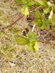 20180428_101141.jpg