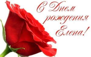 елене.jpg
