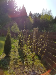 20180503_163155.jpg