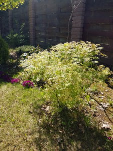 20180506_122230.jpg