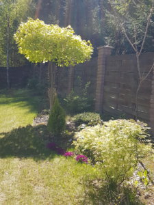 20180506_122206.jpg