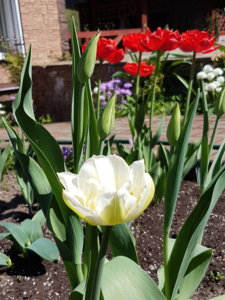 20180506_142230.jpg