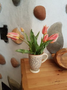 20180506_160100.jpg
