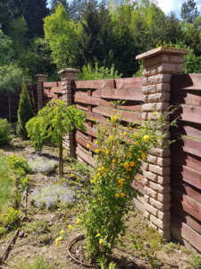20180509_141944.jpg