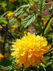 20180509_142033.jpg