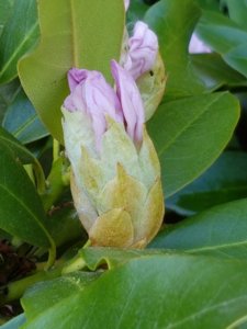 20180511_073514.jpg