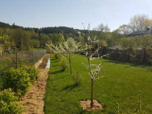 20180504_094355.jpg