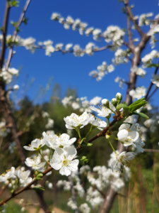 20180504_094241.jpg
