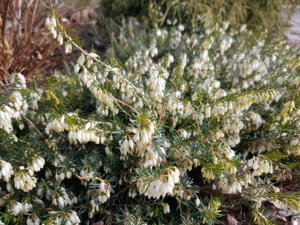 20170329_095458.jpg
