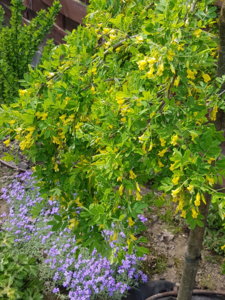 20180512_150805.jpg