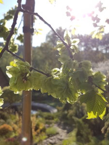 20180511_073155.jpg