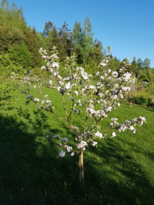20180511_071740.jpg