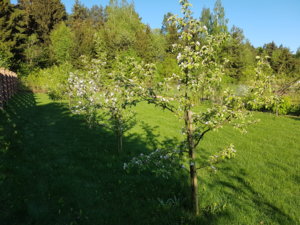 20180511_071808.jpg