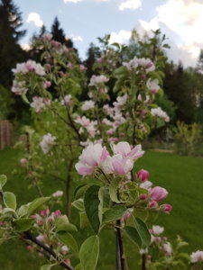 20180509_200434.jpg