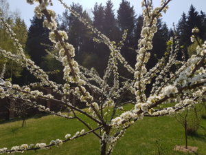 20180501_142810.jpg