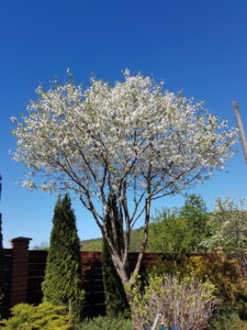 20180506_144812.jpg
