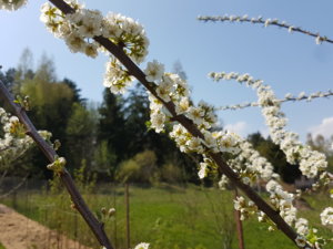 20180501_142702.jpg