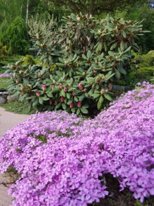 20180513_083854.jpg