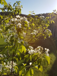 20180511_071549.jpg