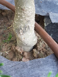 20180517_153130.jpg