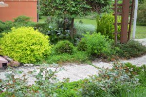 DSC_1624.JPG