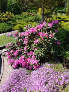 20180517_101353.jpg
