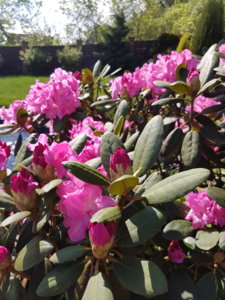20180517_101426.jpg