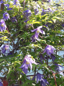 20180522_100921.jpg