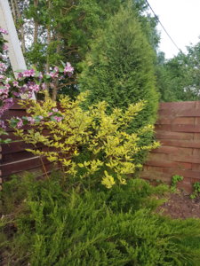 20180517_201153.jpg