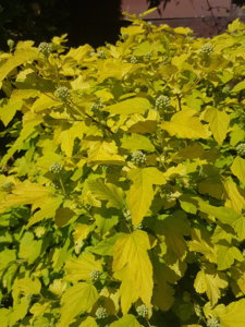 20180526_160206.jpg