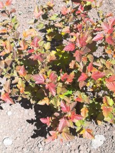 IMG_20180526_140234.jpg