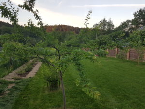 20180526_210555.jpg