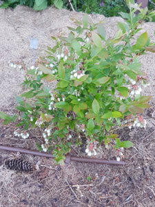 20180526_205929.jpg