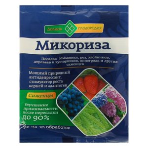 микориза.jpg