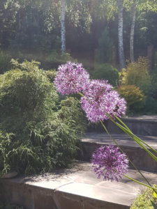 20180526_142922.jpg