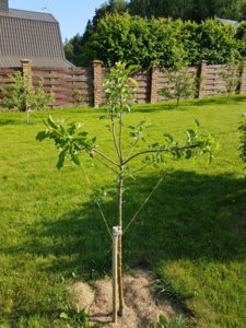 20180530_174152.jpg