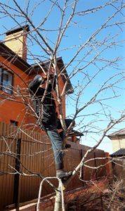 20170315_125918.jpg