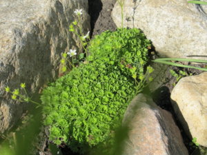 IMG_6741.JPG