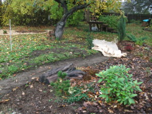 DSCF5838.JPG